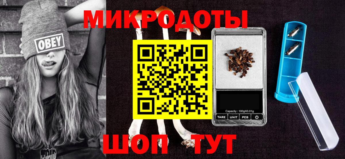 Галлюциногенные грибы Cubensis Лениногорск