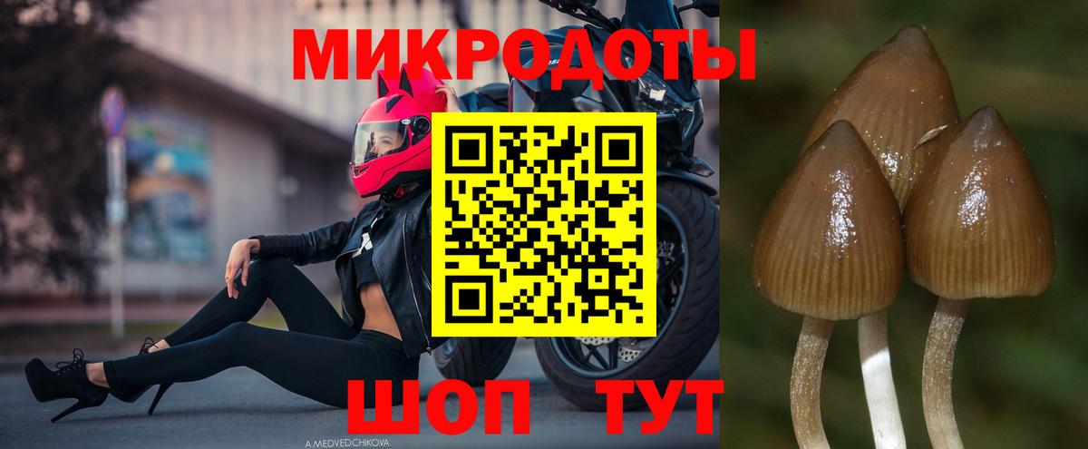 Лениногорск  Псилоцибиновые грибы мухоморы  Вход с VPN 